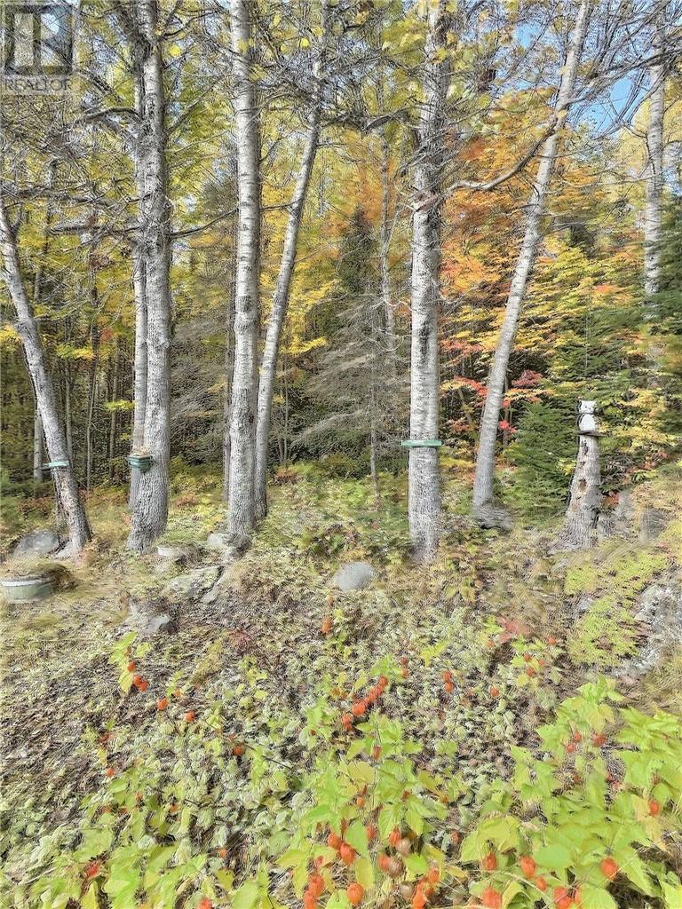 1690 Vermillion Lake Road, Chelmsford, Ontario  P0M 1L0 - Photo 16 - 2124944