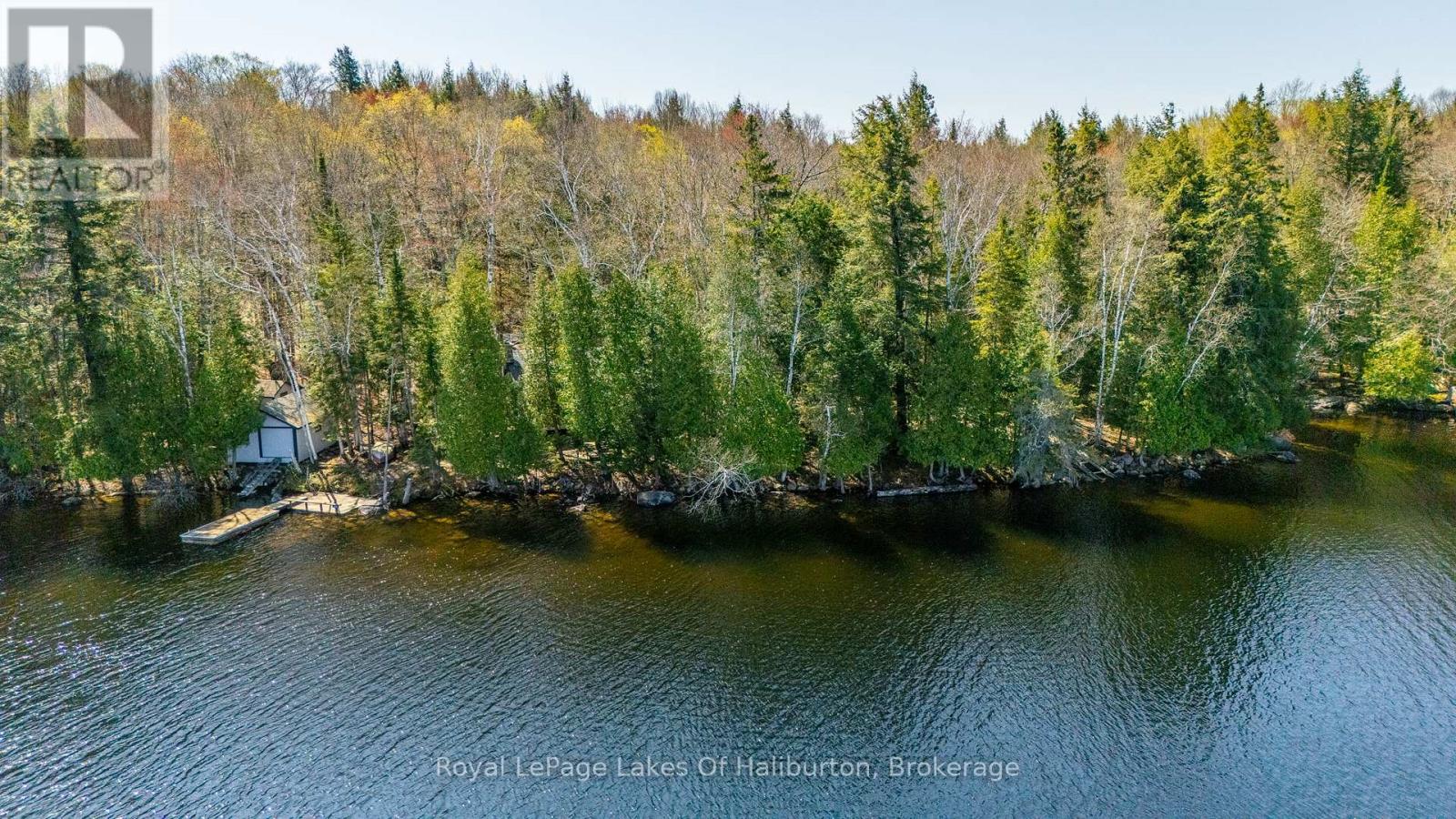 1096 Reg's Trail, Dysart Et Al, Ontario  K0M 1S0 - Photo 3 - X12150052