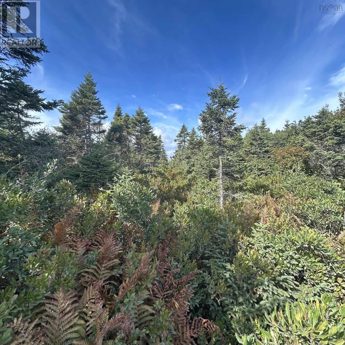 Lot 6-F-A Middle Road, Kingsburg, Nova Scotia  B0J 2X0 - Photo 6 - 202524697