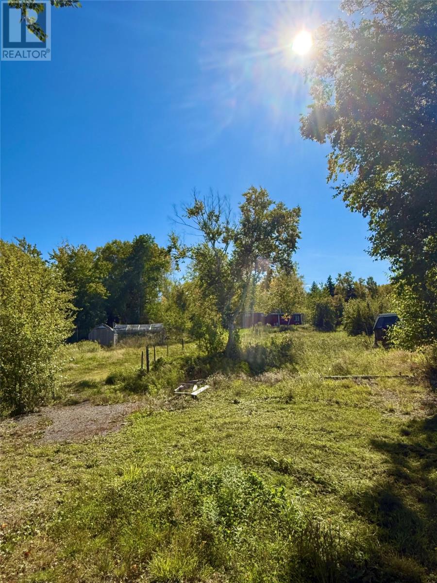 182 Bayside Drive, Lethbridge, Newfoundland & Labrador  A0C 1V0 - Photo 16 - 1291005