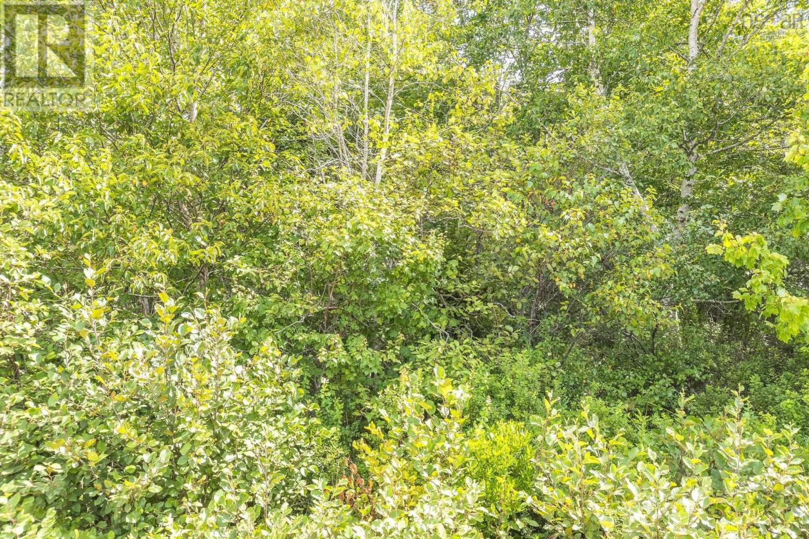 Lot 15/17 Oakridge Road, Church Point, Nova Scotia  B0W 2Z0 - Photo 31 - 202506386