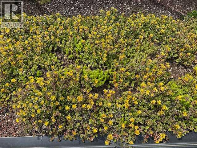 207, 303 13 Avenue Sw, Calgary, Alberta  T2R 0Y9 - Photo 8 - A2227677