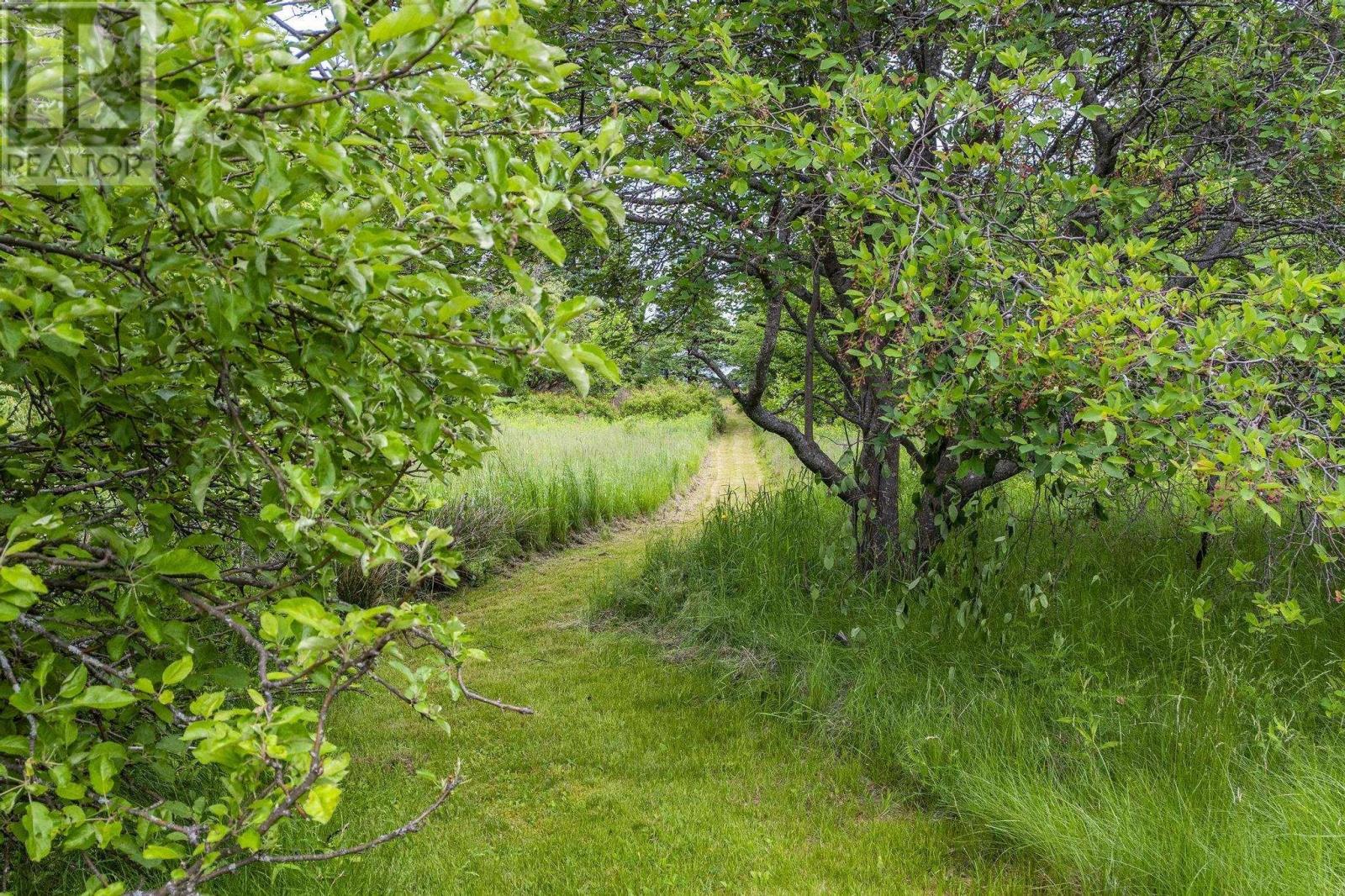 1407 North Shore Rd, Malagash, Nova Scotia  B0K 1E0 - Photo 42 - 202515398