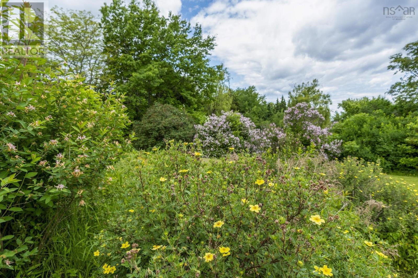 1407 North Shore Rd, Malagash, Nova Scotia  B0K 1E0 - Photo 40 - 202515398