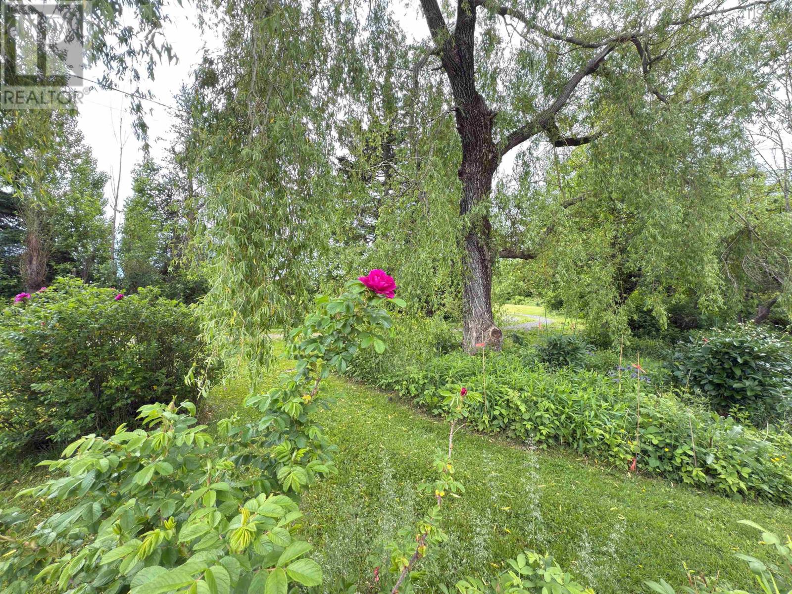 1407 North Shore Rd, Malagash, Nova Scotia  B0K 1E0 - Photo 32 - 202515398