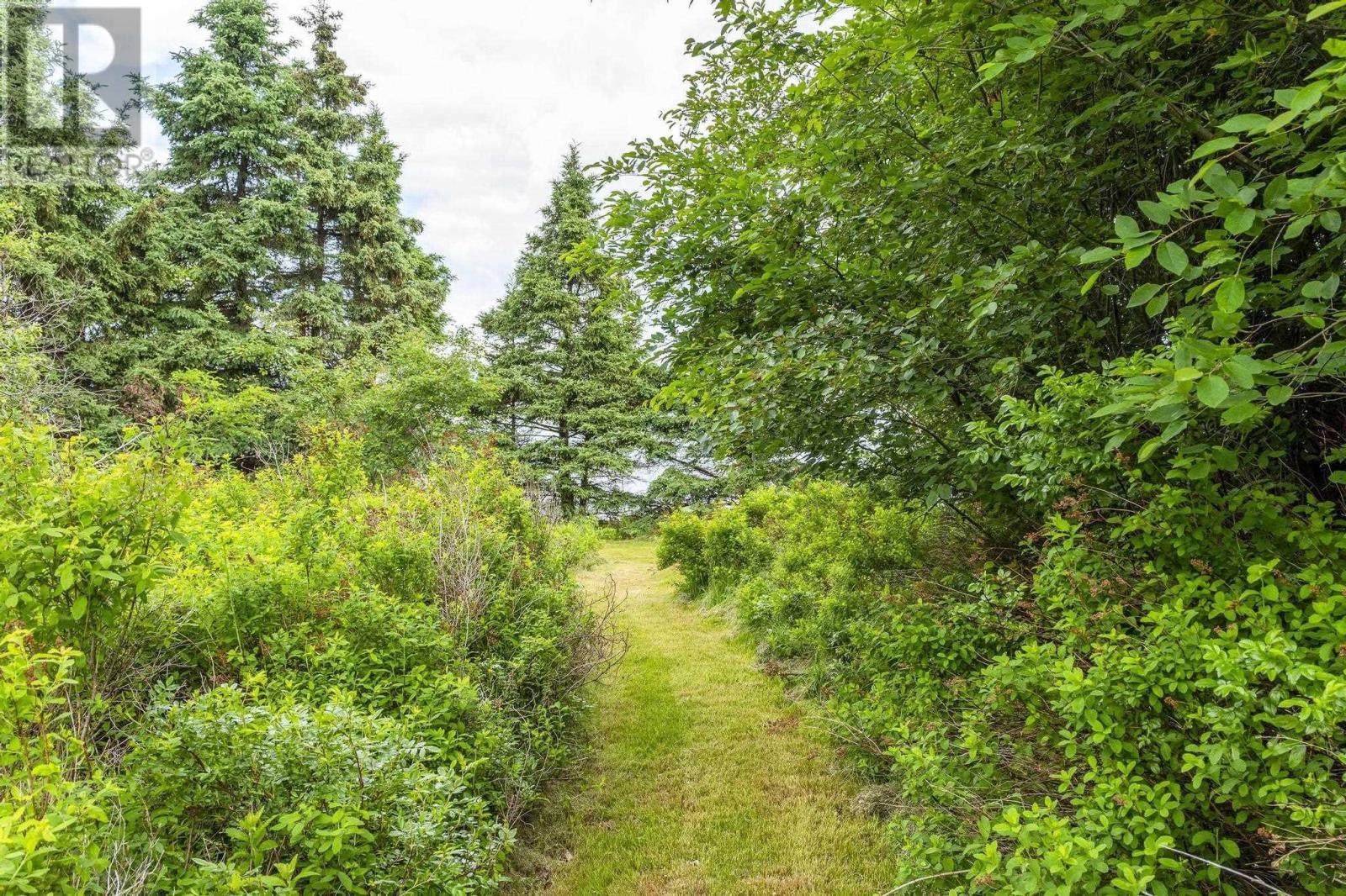 1407 North Shore Rd, Malagash, Nova Scotia  B0K 1E0 - Photo 43 - 202515398