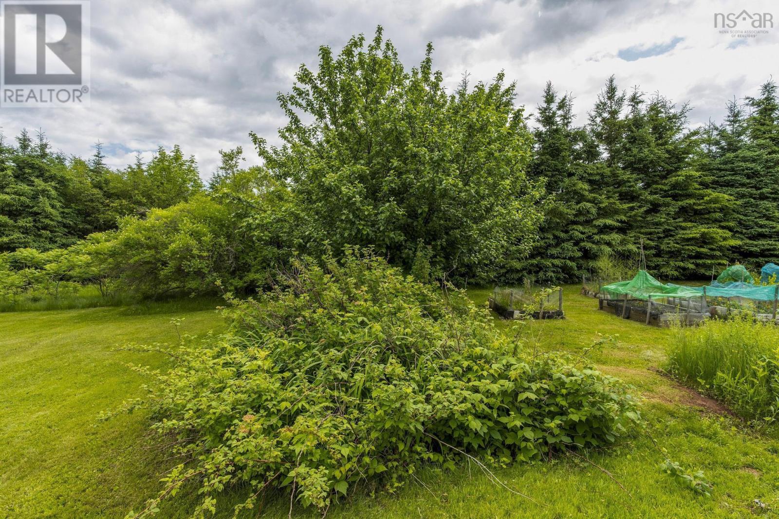 1407 North Shore Rd, Malagash, Nova Scotia  B0K 1E0 - Photo 34 - 202515398