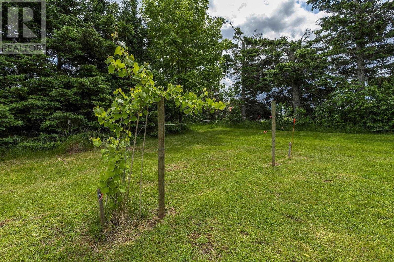 1407 North Shore Rd, Malagash, Nova Scotia  B0K 1E0 - Photo 30 - 202515398