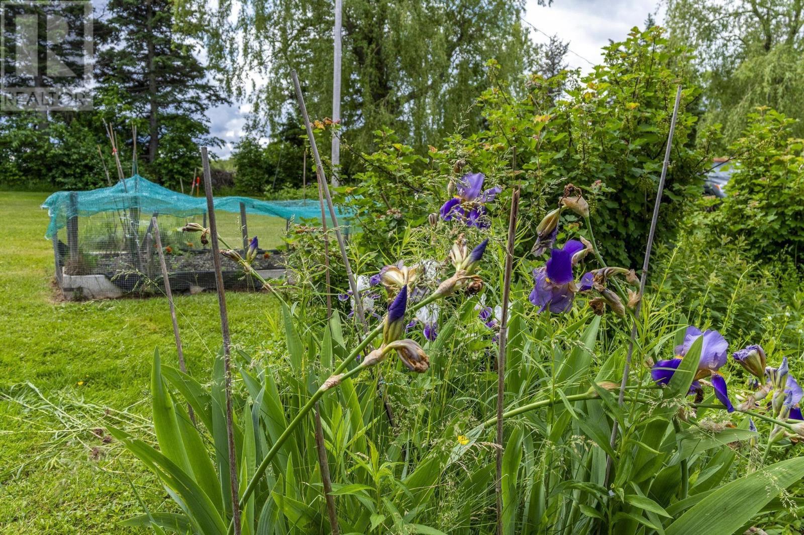 1407 North Shore Rd, Malagash, Nova Scotia  B0K 1E0 - Photo 31 - 202515398