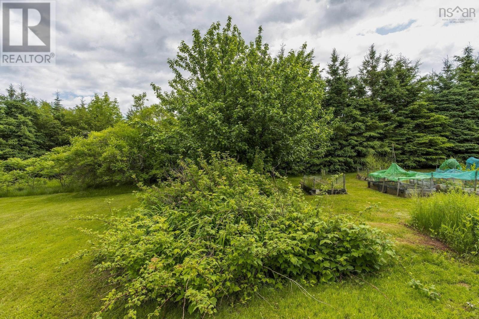 1407 North Shore Rd, Malagash, Nova Scotia  B0K 1E0 - Photo 33 - 202515398