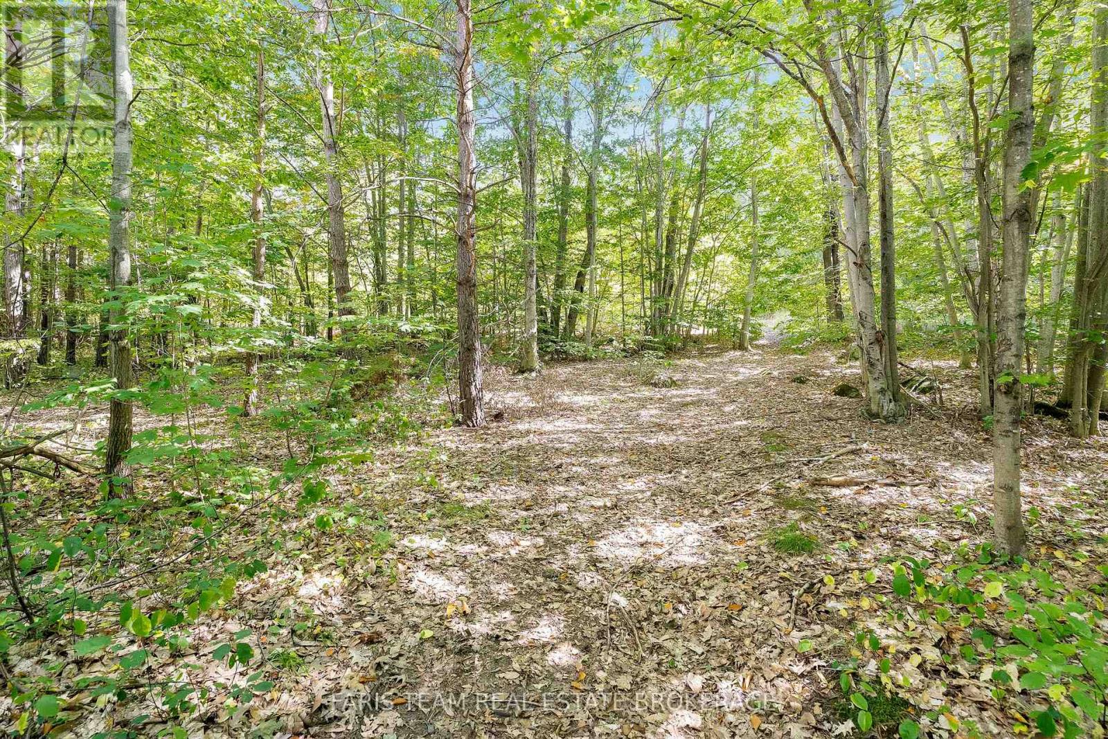 136 Poyntz Street, Penetanguishene, Ontario  L9M 1P4 - Photo 39 - S12436259