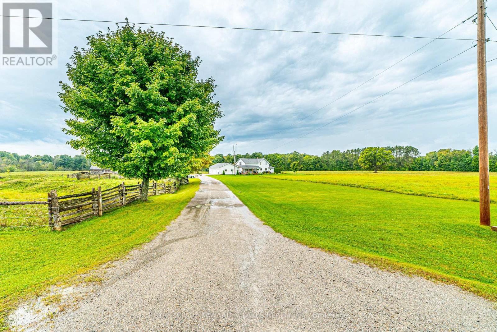 2433 County Road 121 Road, Kawartha Lakes, Ontario  K0M 1C0 - Photo 1 - X12436381