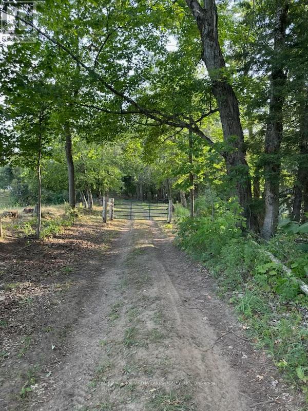 2433 County Road 121 Road, Kawartha Lakes, Ontario  K0M 1C0 - Photo 33 - X12436381