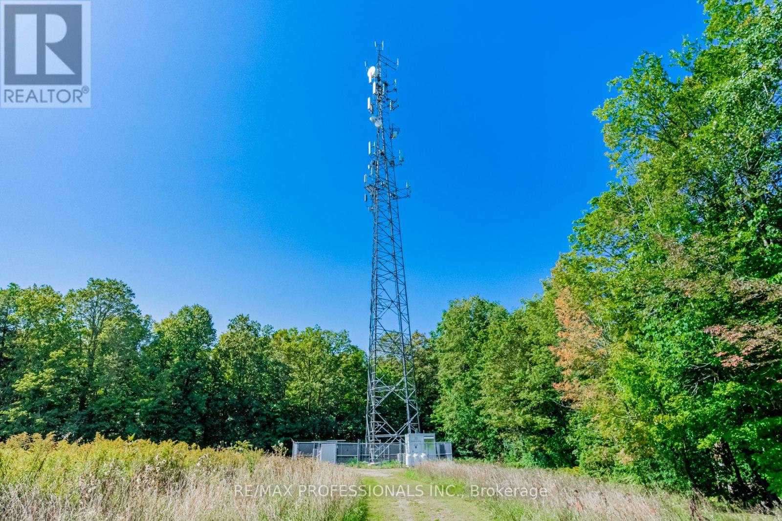 13908 Trafalgar Road, Halton Hills, Ontario  L7G 4S4 - Photo 19 - W12436214