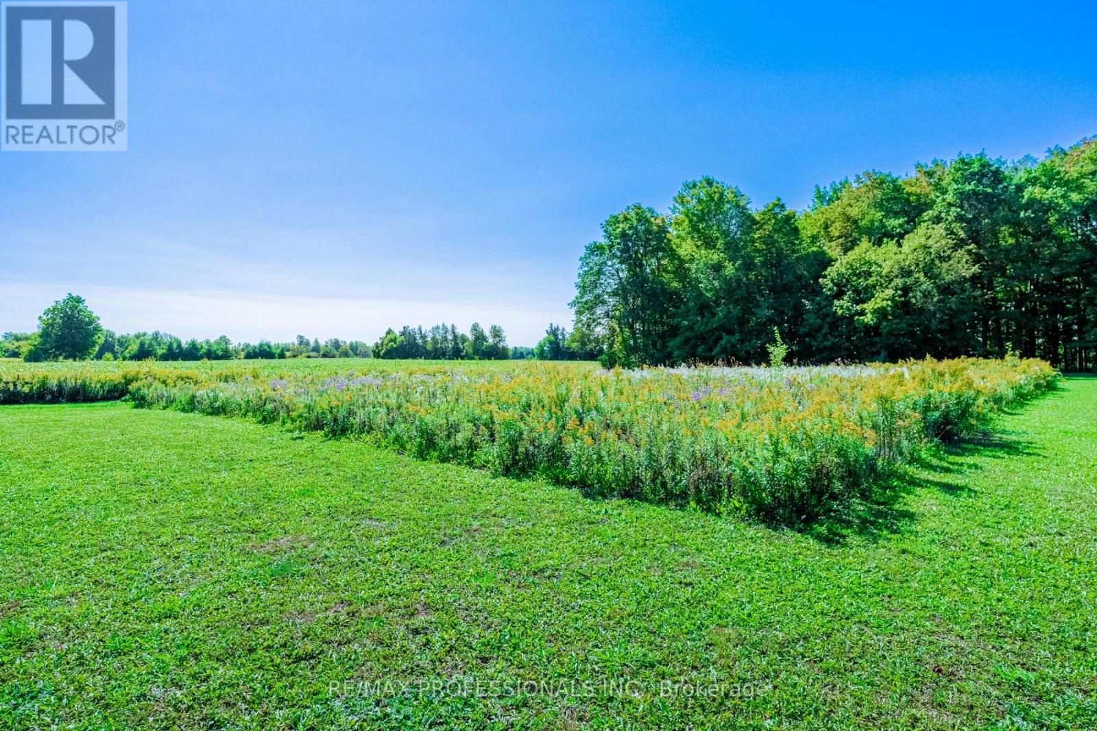 13908 Trafalgar Road, Halton Hills, Ontario  L7G 4S4 - Photo 23 - W12436214