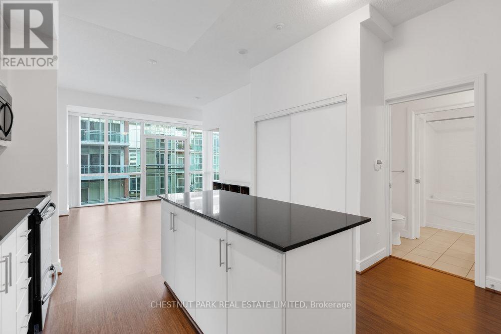 S704 - 112 George Street, Toronto, Ontario  M5A 2M5 - Photo 6 - C12436532