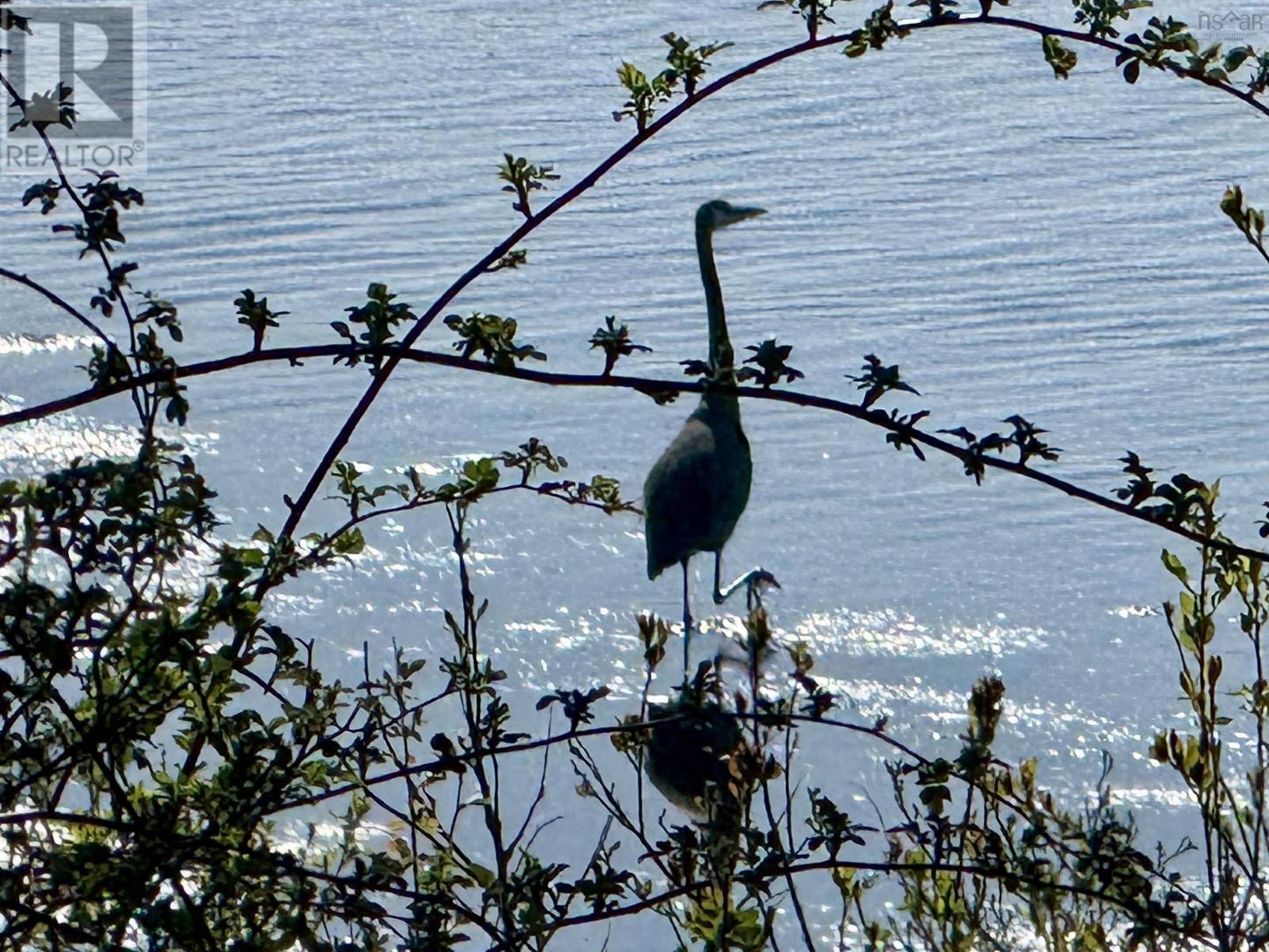 2594 376 Highway, Lyons Brook, Nova Scotia  B0K 1H0 - Photo 39 - 202524717