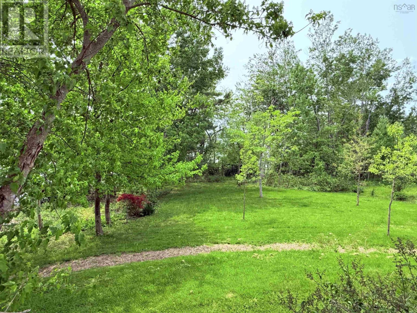 2594 376 Highway, Lyons Brook, Nova Scotia  B0K 1H0 - Photo 7 - 202524717