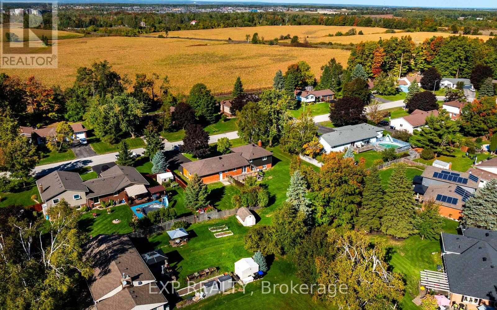 258 Nelson Crescent, Innisfil, Ontario  L9S 1E7 - Photo 35 - N12436419