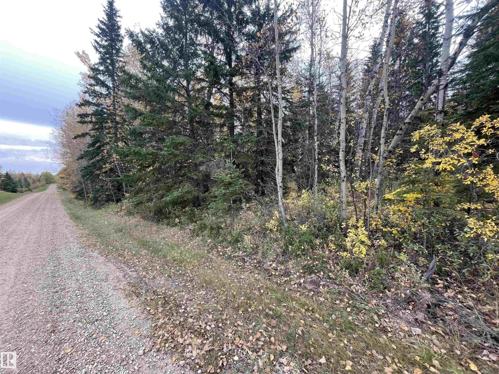 3 Pleasant Valley Ac, Rural Wetaskiwin County, Alberta  T0C 2V0 - Photo 6 - E4460179