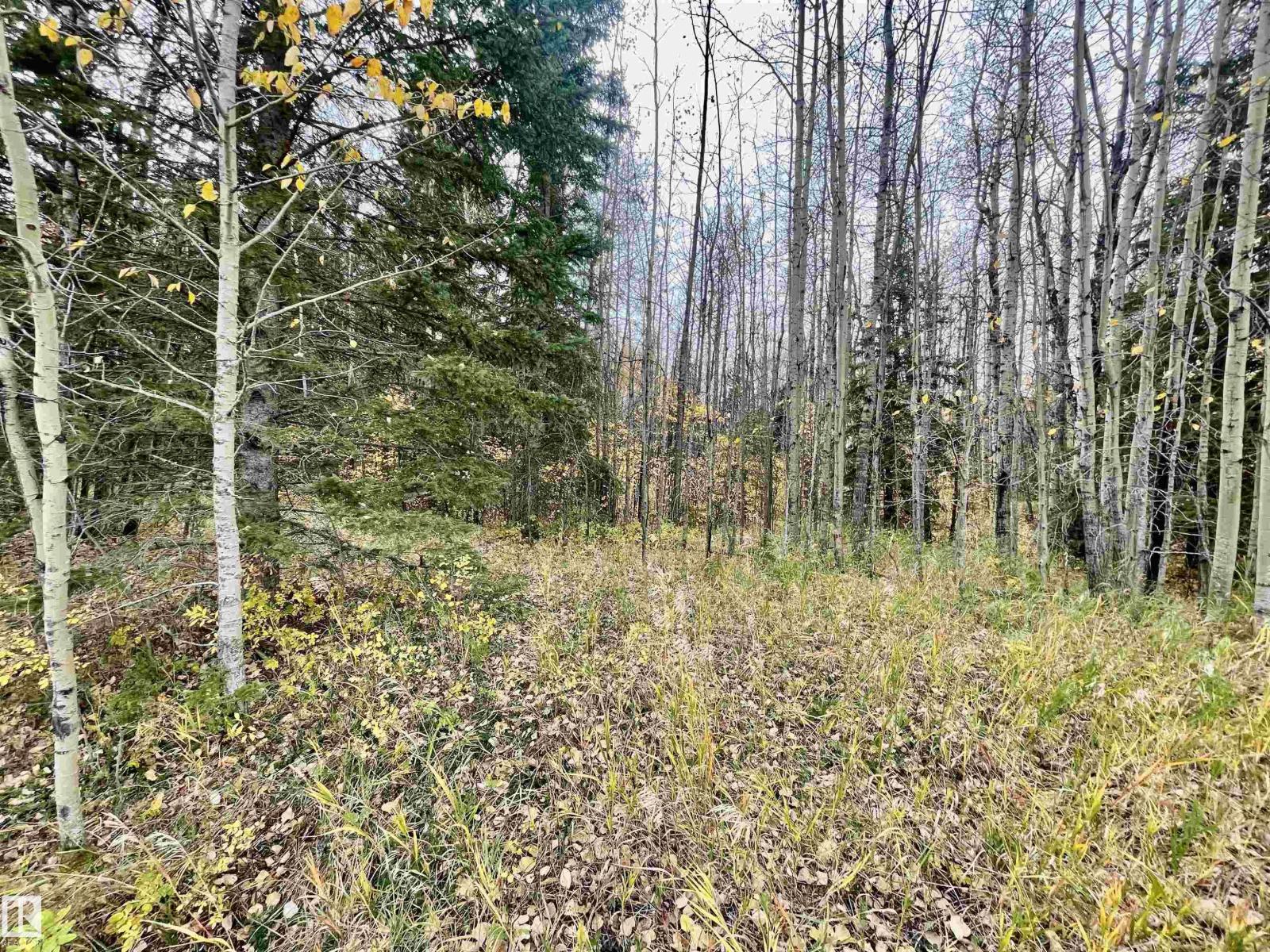 3 Pleasant Valley Ac, Rural Wetaskiwin County, Alberta  T0C 2V0 - Photo 7 - E4460179