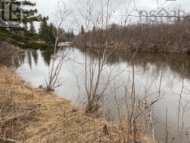 Barren Road, River Denys, Nova Scotia  B0E 2Y0 - Photo 1 - 202510050