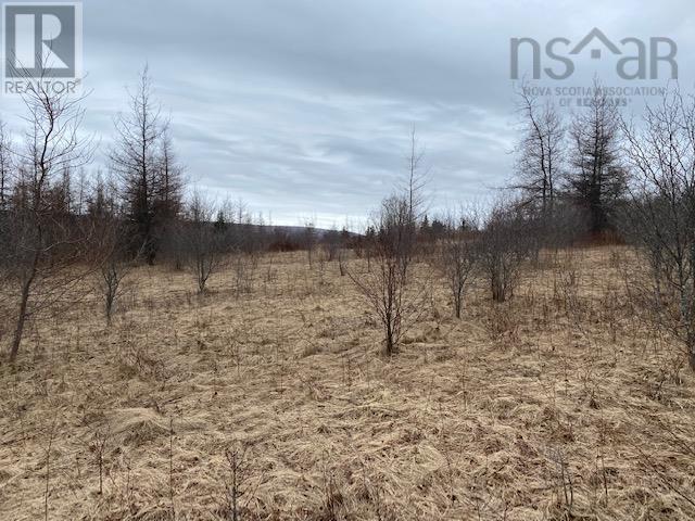 Barren Road, River Denys, Nova Scotia  B0E 2Y0 - Photo 3 - 202510050