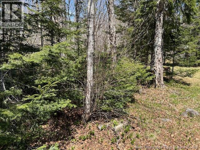 0 Old Shepody Road, Shepody, New Brunswick  E4E 5R9 - Photo 18 - NB127682