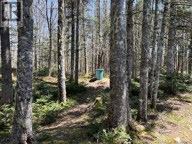 0 Old Shepody Road, Shepody, New Brunswick  E4E 5R9 - Photo 19 - NB127682
