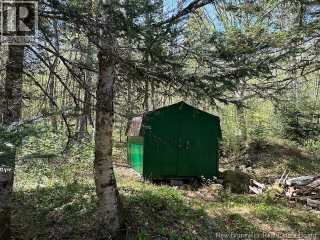 0 Old Shepody Road, Shepody, New Brunswick  E4E 5R9 - Photo 8 - NB127682