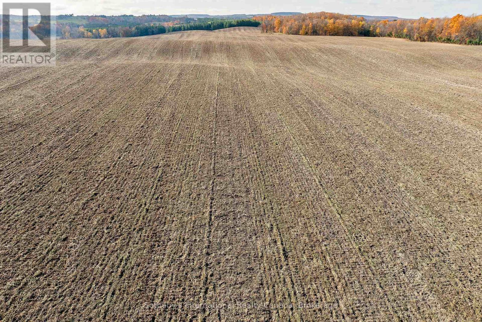 1148 Concession 6 South Nottawasaga, Clearview, Ontario  L0M 1S0 - Photo 11 - S12436712