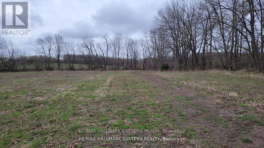 1737 Thirteenth Line, Selwyn, Ontario  K0L 2H0 - Photo 13 - X12436200