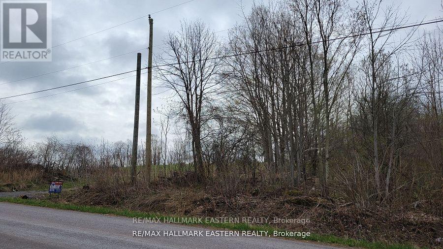 1737 Thirteenth Line, Selwyn, Ontario  K0L 2H0 - Photo 25 - X12436200