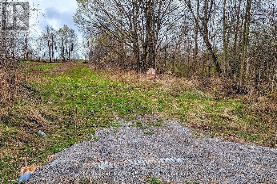 1737 Thirteenth Line, Selwyn, Ontario  K0L 2H0 - Photo 7 - X12436200