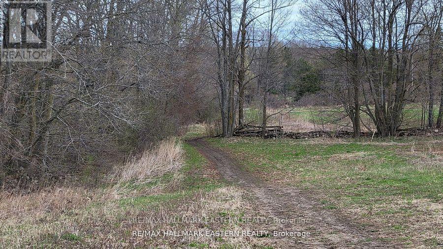 1737 Thirteenth Line, Selwyn, Ontario  K0L 2H0 - Photo 9 - X12436200