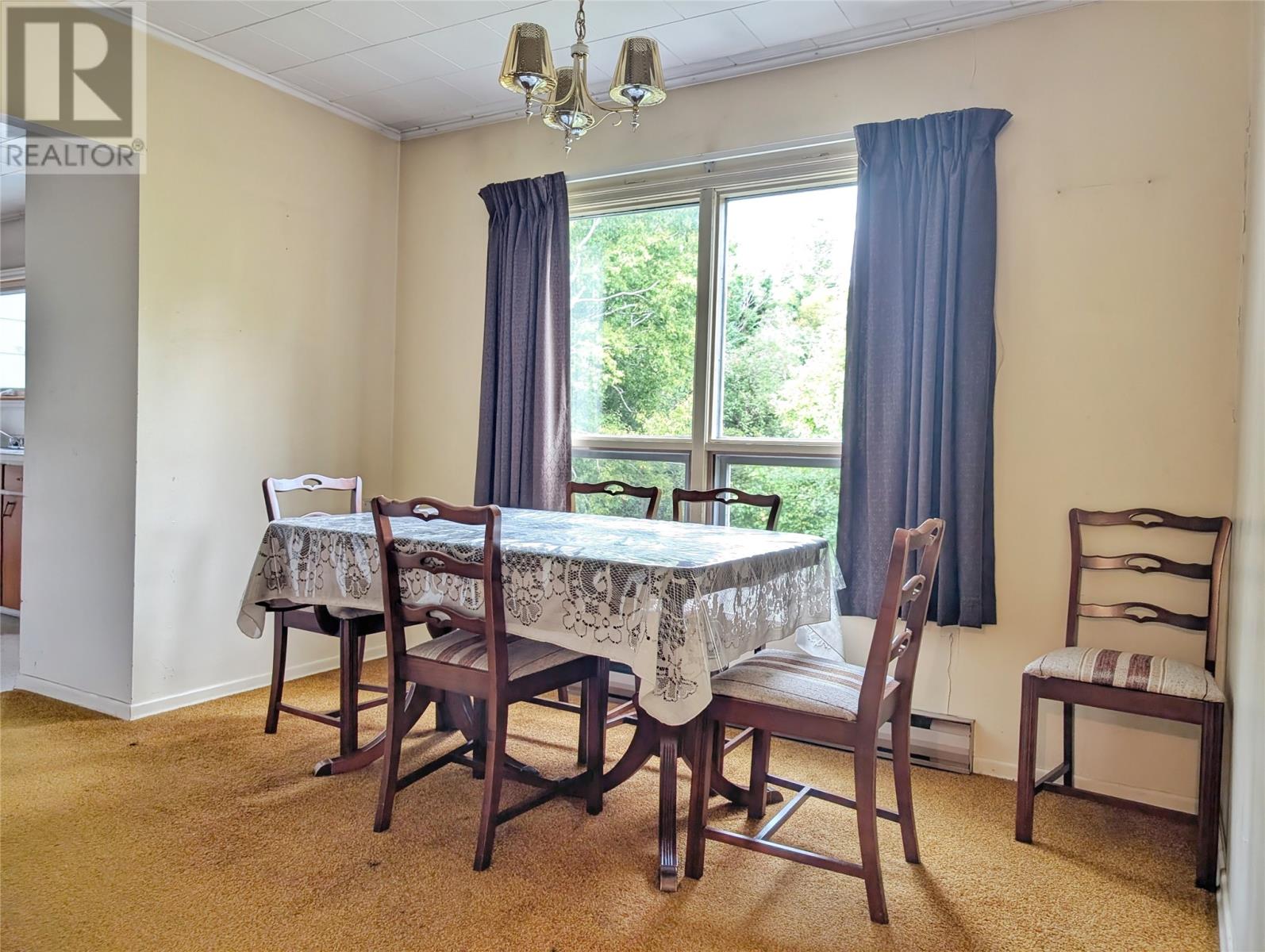 13 Tuckers Hill, Lethbridge, Newfoundland & Labrador  A0C 1V0 - Photo 6 - 1290974