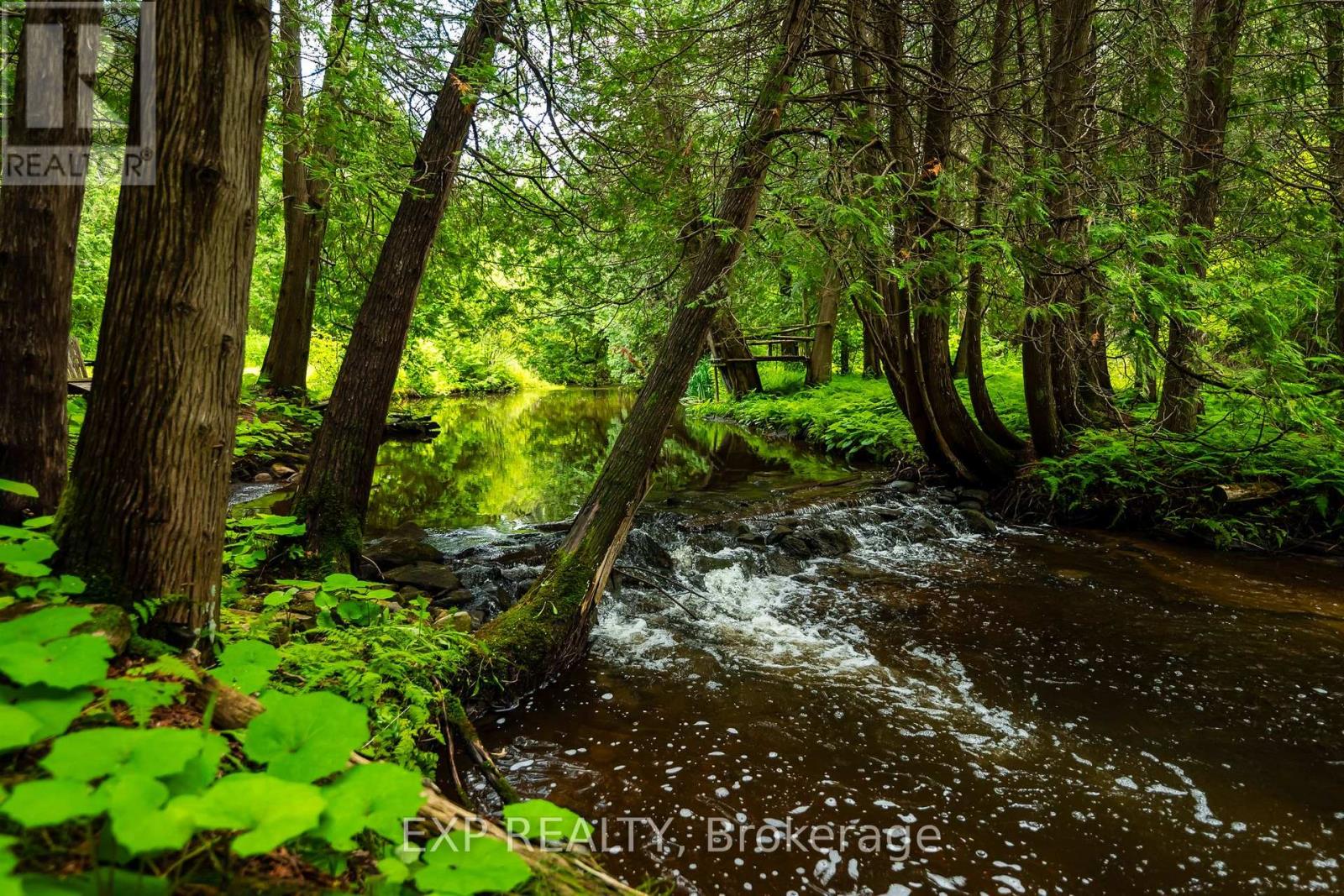 506097 Highway 89, Mulmur, Ontario  L9V 0N6 - Photo 41 - X12436407