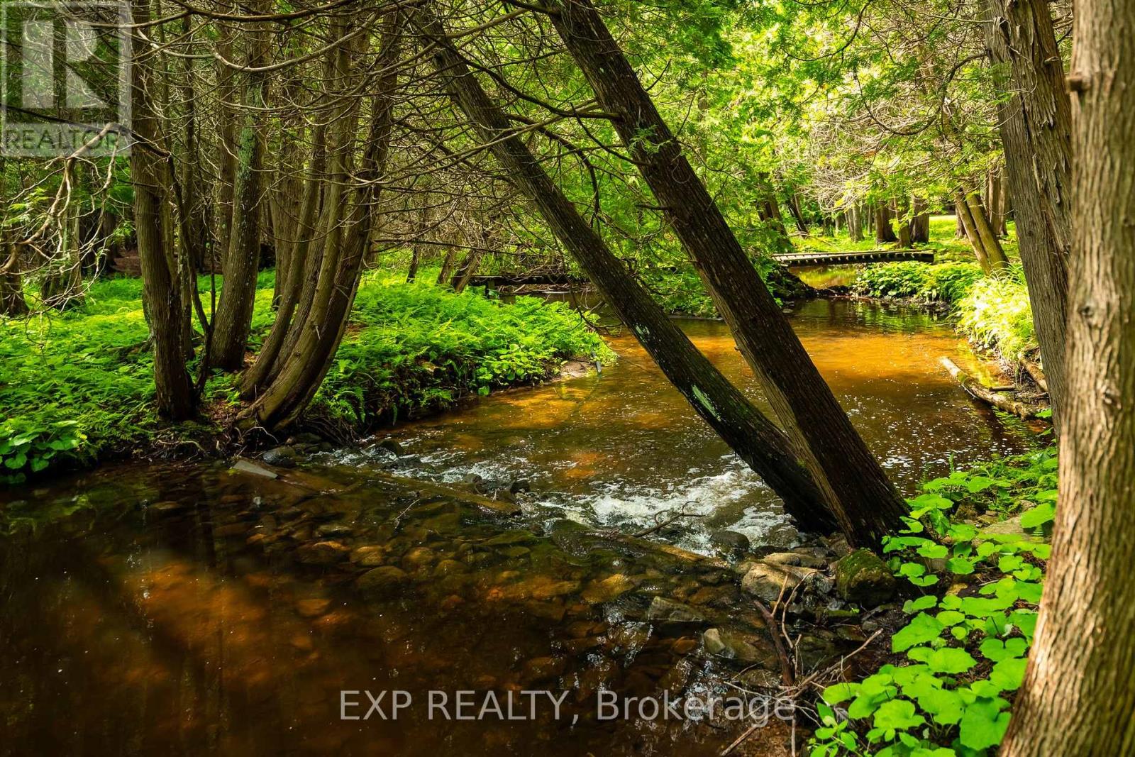 506097 Highway 89, Mulmur, Ontario  L9V 0N6 - Photo 40 - X12436407