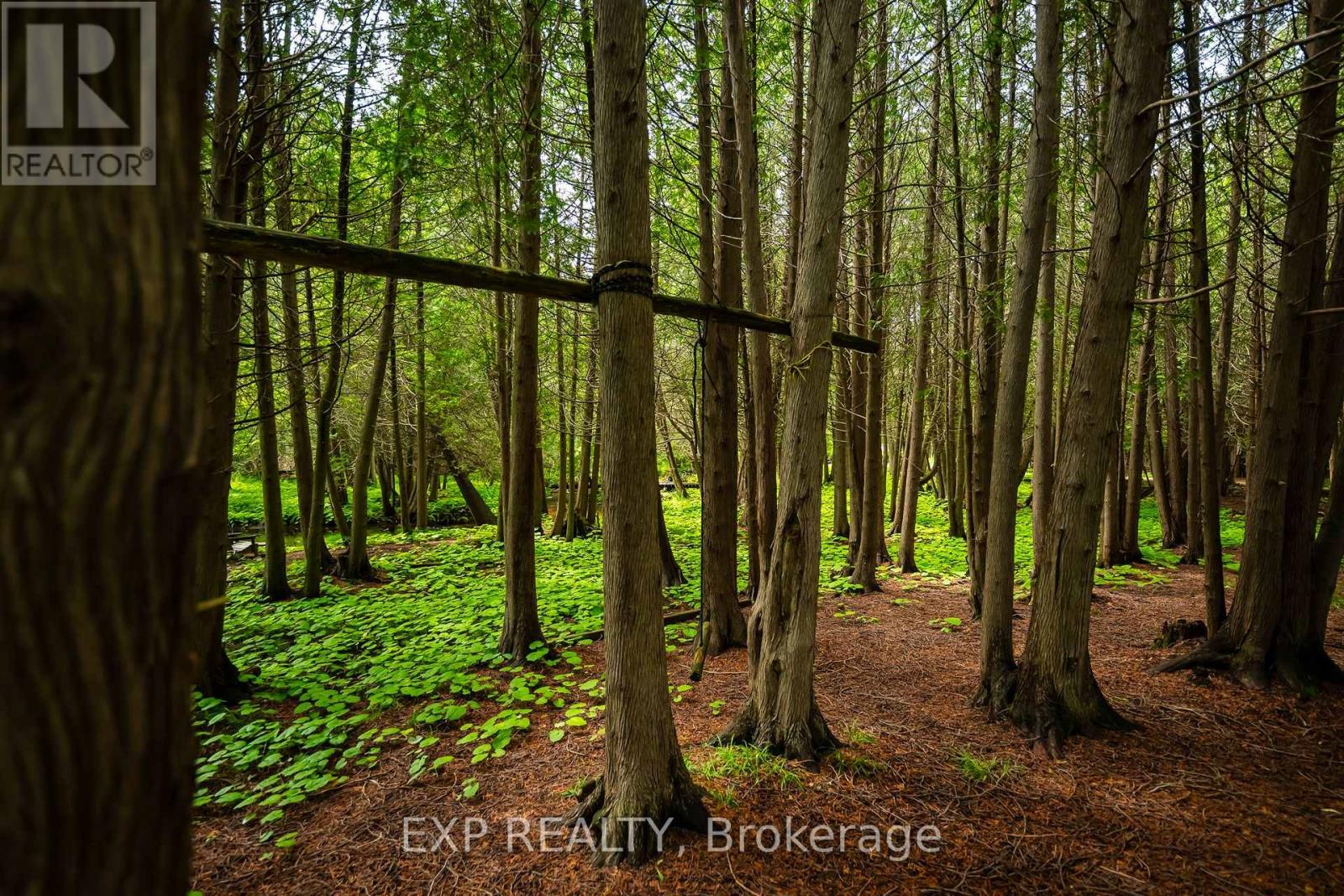 506097 Highway 89, Mulmur, Ontario  L9V 0N6 - Photo 49 - X12436407