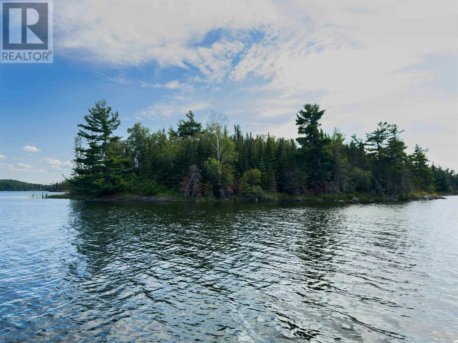 4 And 11 Dorion Island Lake Of The Woods, Kenora, Ontario  P0X 1N0 - Photo 12 - TB251832