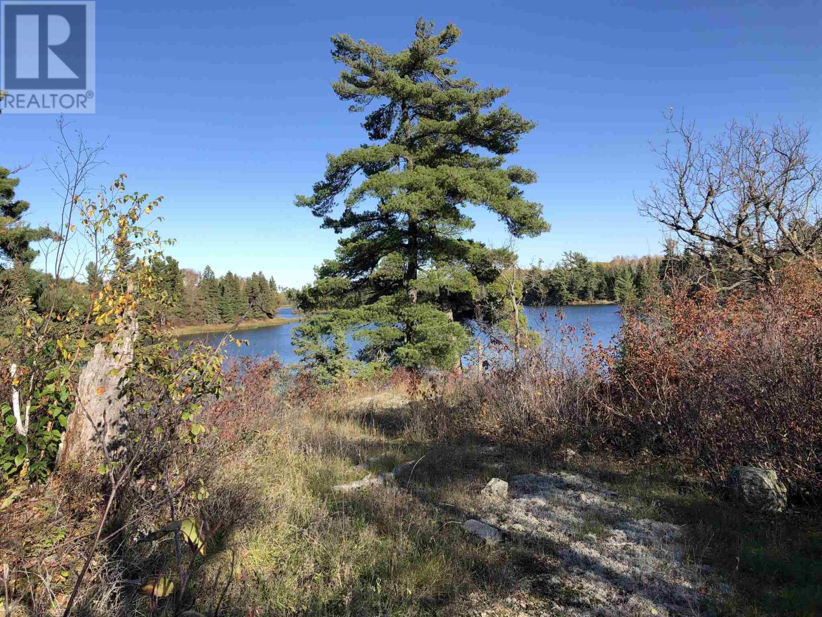 3,9 And 10 Dorion Island Lake Of The Woods, Kenora, Ontario  P0X 1N0 - Photo 13 - TB251833