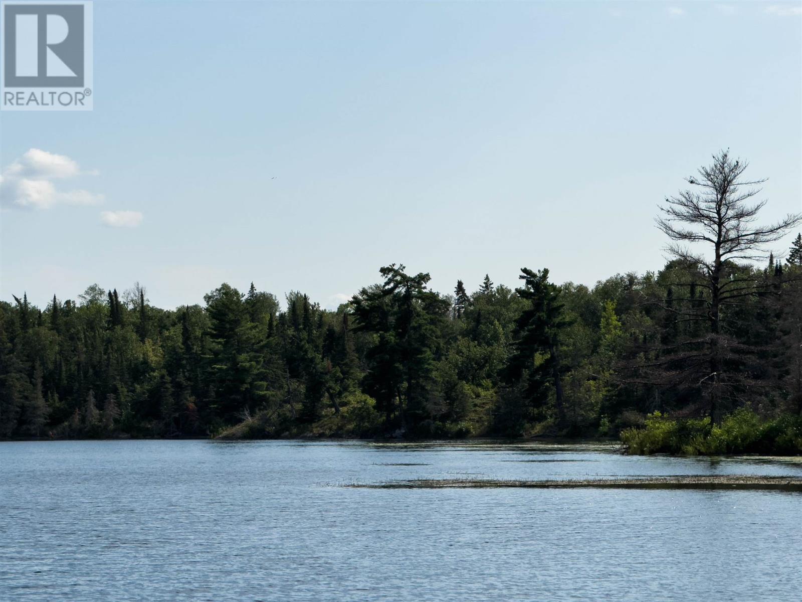4 And 11 Dorion Island Lake Of The Woods, Kenora, Ontario  P0X 1N0 - Photo 23 - TB251832