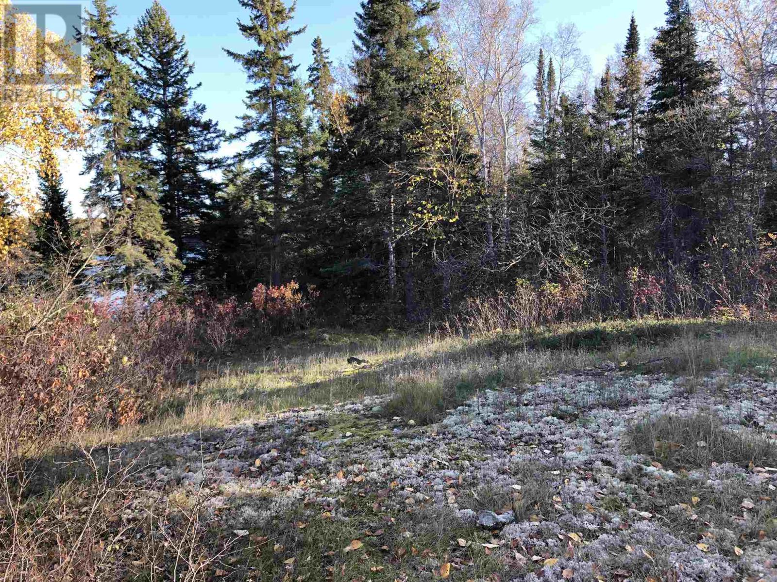 3,9 And 10 Dorion Island Lake Of The Woods, Kenora, Ontario  P0X 1N0 - Photo 12 - TB251833