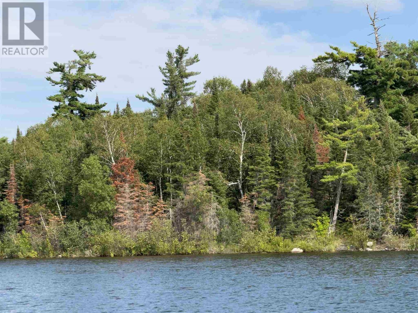 3,9 And 10 Dorion Island Lake Of The Woods, Kenora, Ontario  P0X 1N0 - Photo 28 - TB251833