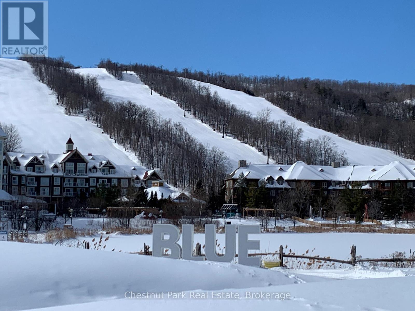 307 - 220 Gord Canning Drive, Blue Mountains, Ontario  L9Y 0V2 - Photo 46 - X12428483