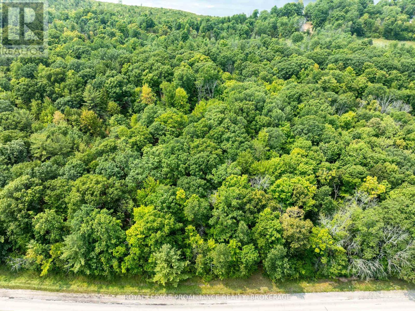 568 Lyndhurst Road, Leeds And The Thousand Islands, Ontario  K0E 1N0 - Photo 7 - X12120271