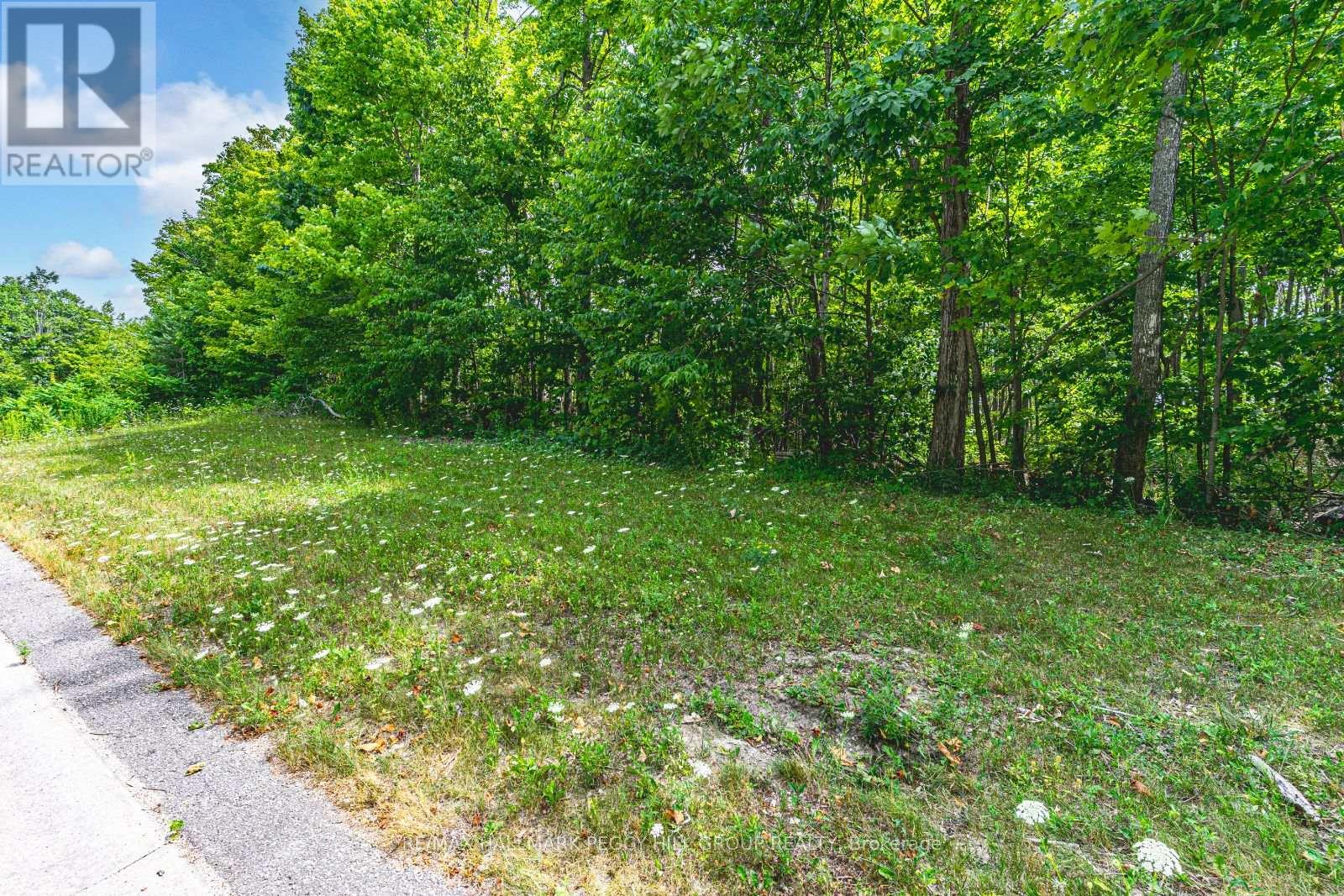 17 Maple Ridge Road, Oro-Medonte, Ontario  L0L 2L0 - Photo 4 - S12436788