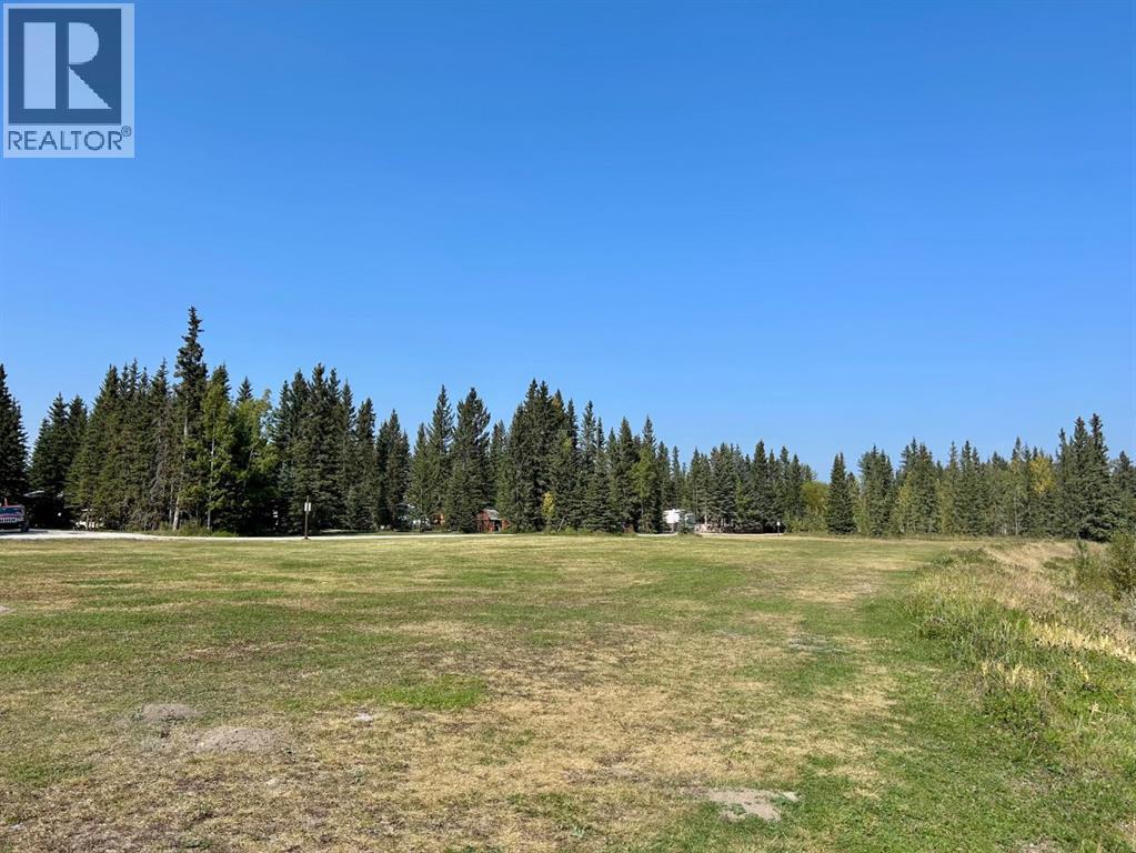 Lorem Ipsum Dolor Si, Sundre, Alberta  T0M  - Photo 38 - DEMO28855427