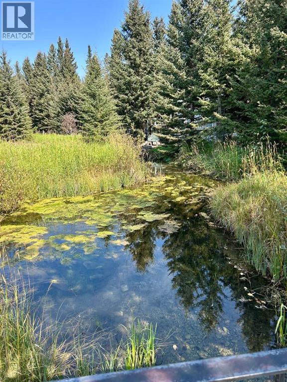Lorem Ipsum Dolor Si, Sundre, Alberta  T0M  - Photo 35 - DEMO28855427
