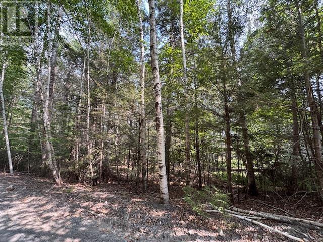 Lot 25 Beaver Dam Trail, Labelle, Nova Scotia  B0T 1E0 - Photo 15 - 202519898